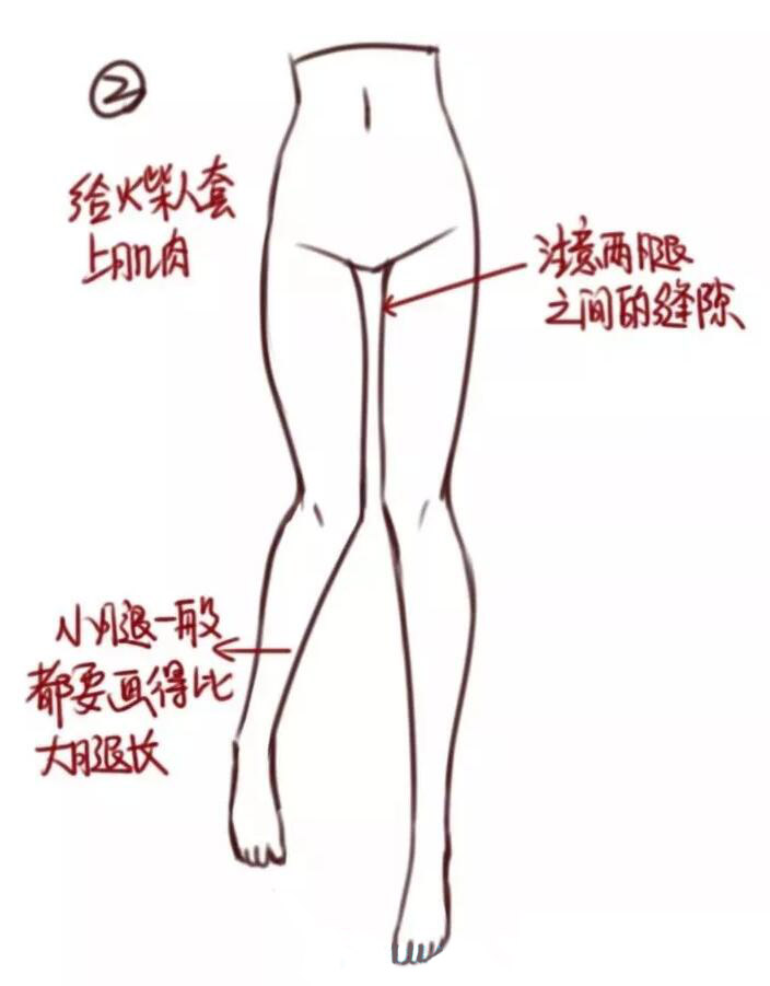 腿部教程（女性）大腿结构画法教程2.jpg