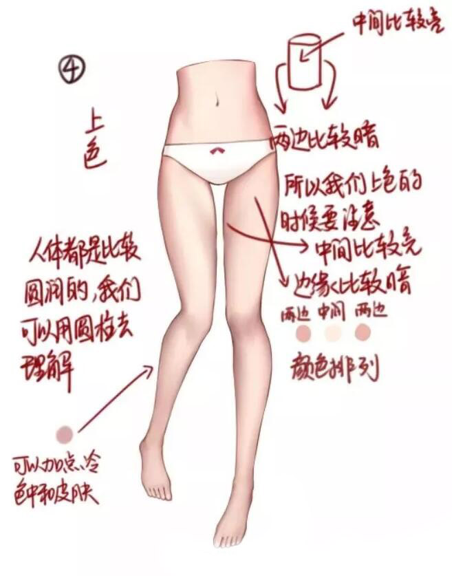 腿部教程（女性）大腿结构画法教程4.jpg