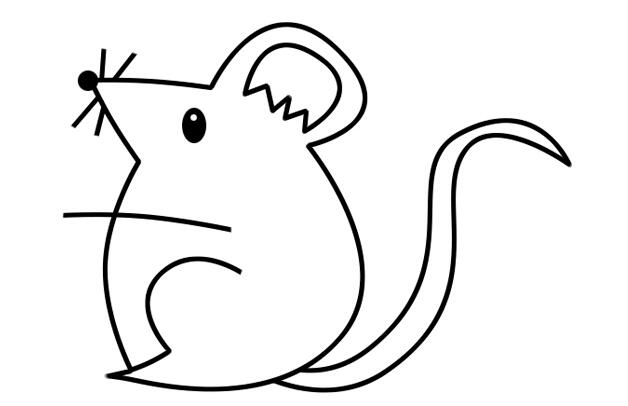 鼠年老鼠简笔画怎么画？老鼠的简笔画画法步骤教程.jpg