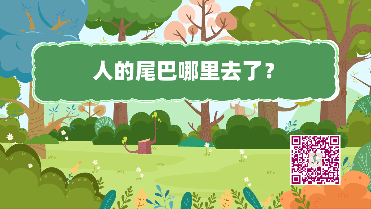 十万个为什么标题(人的尾巴)1200.png 十万个为什么标题(人的尾巴)1200.png