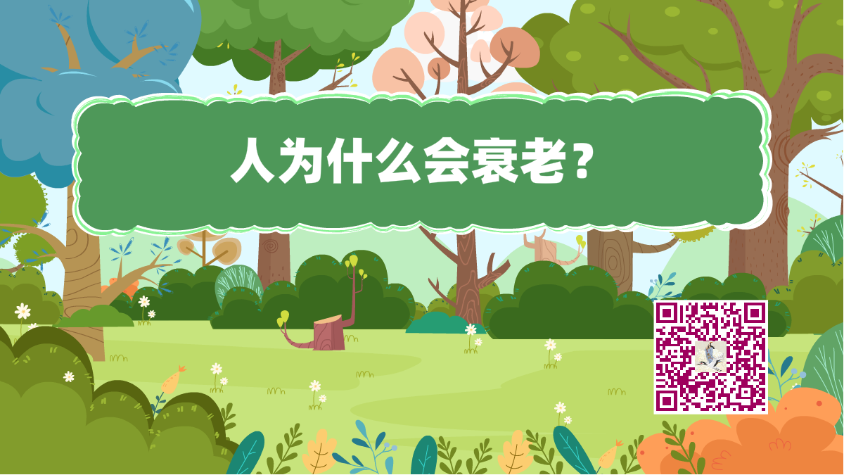 十万个为什么标题(人衰老)1200.png 十万个为什么标题(人衰老)1200.png