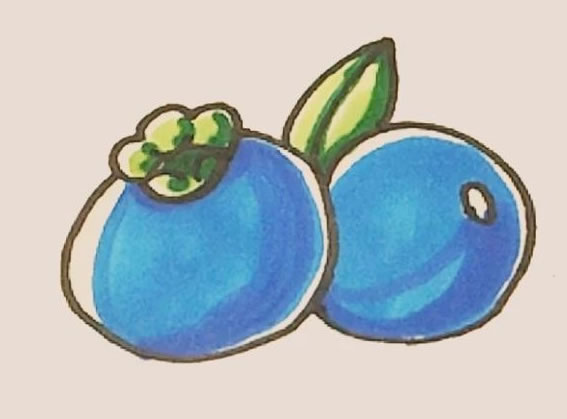 蓝莓简笔画