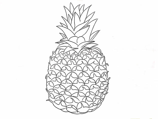 菠萝简笔画画法步骤图片