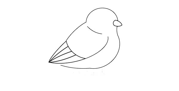 可爱黄鹂鸟简笔画画法步骤图片