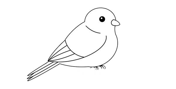 可爱黄鹂鸟简笔画画法步骤图片