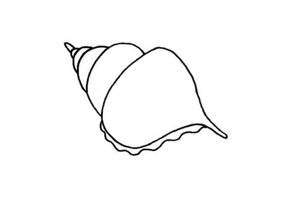 贝壳简笔画图片