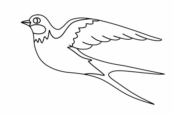 漂亮的小燕子简笔画画法步骤图片