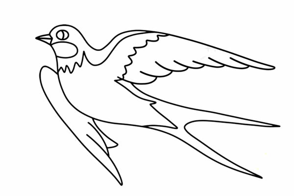漂亮的小燕子简笔画画法步骤图片