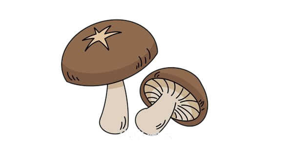 菌菇简笔画图片