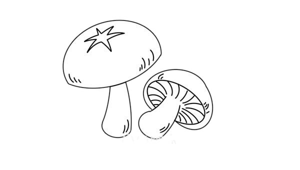 香菇简笔画画法步骤图片