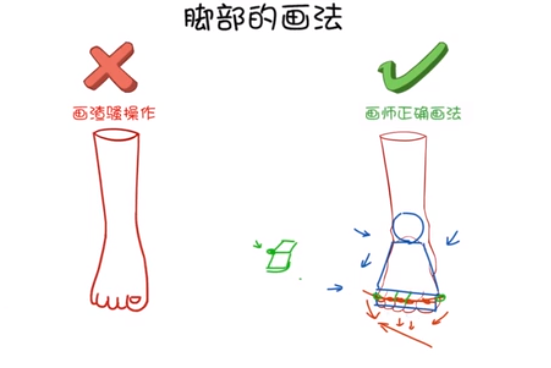 在这个弧线上，可以画出大拇趾，跟小拇趾的两个突出的关节.png