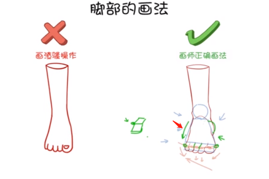 脚掌对脚后跟有一个遮挡的关系，所以在画正面脚的时候，一定要注意.png