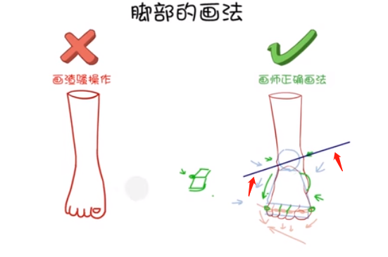 在脚腕的地方，画出一些凸出来的踝关节，一定要记住里面的踝关节会比外面的踝关节要高，能形成一个倾斜的坡度。.png