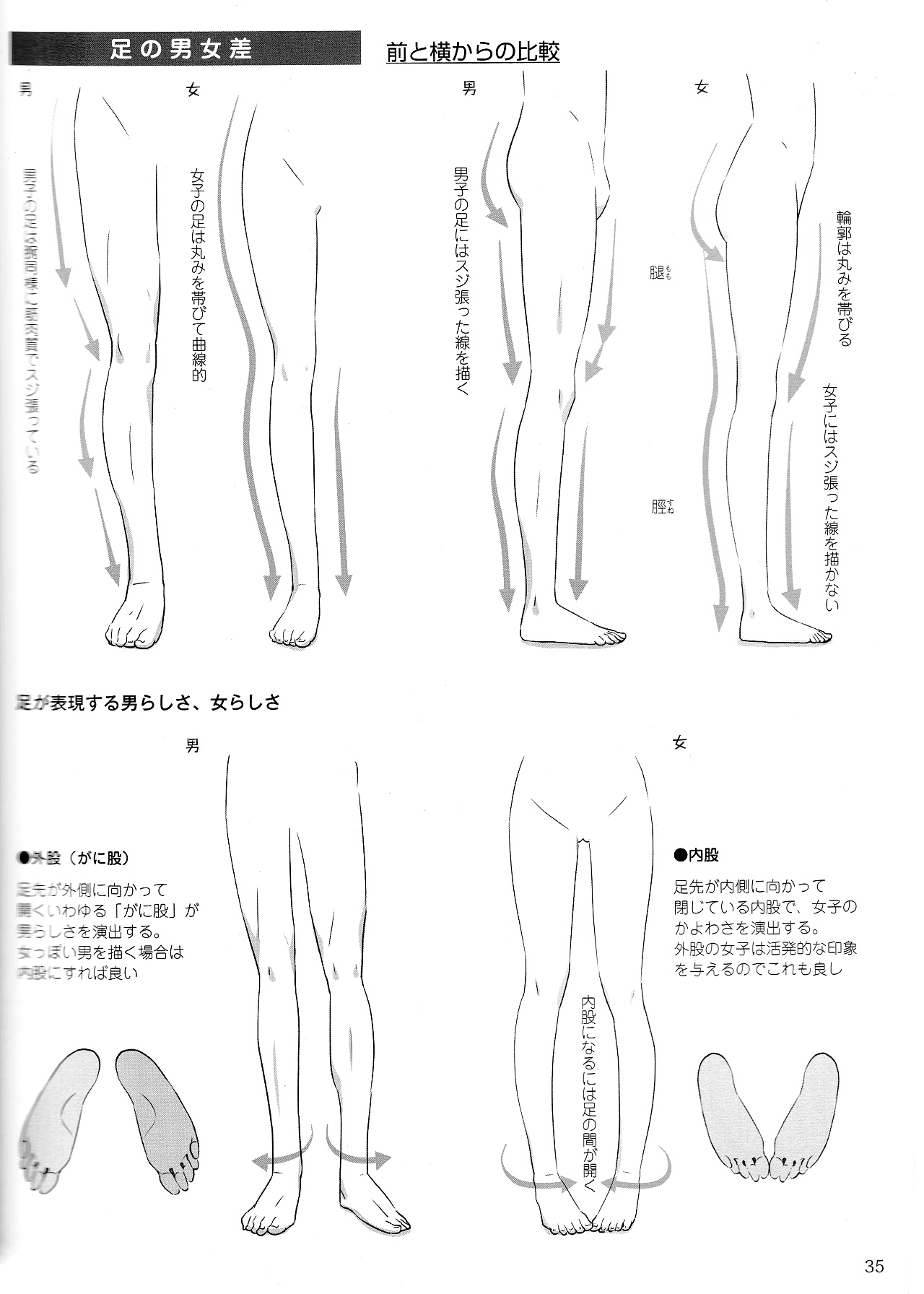 男女比例的差别怎么画？