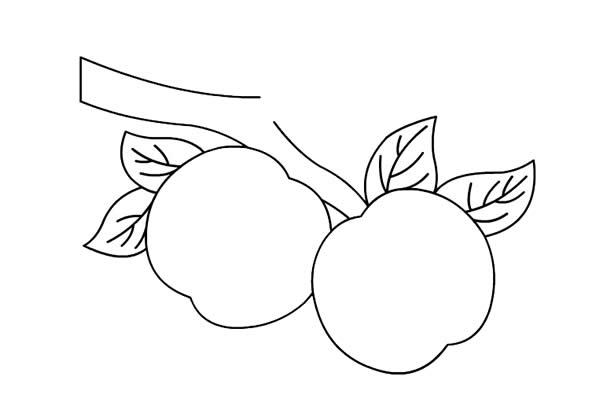 树枝上的桃子简笔画彩色画法