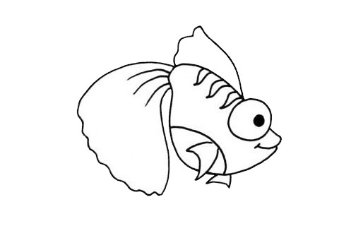 金鱼简笔画图片
