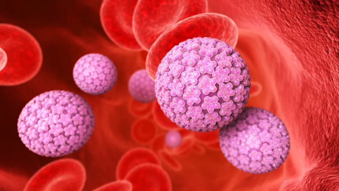 HPV疫苗大起底：不是预防宫颈癌的吗，怎么男孩也要打？