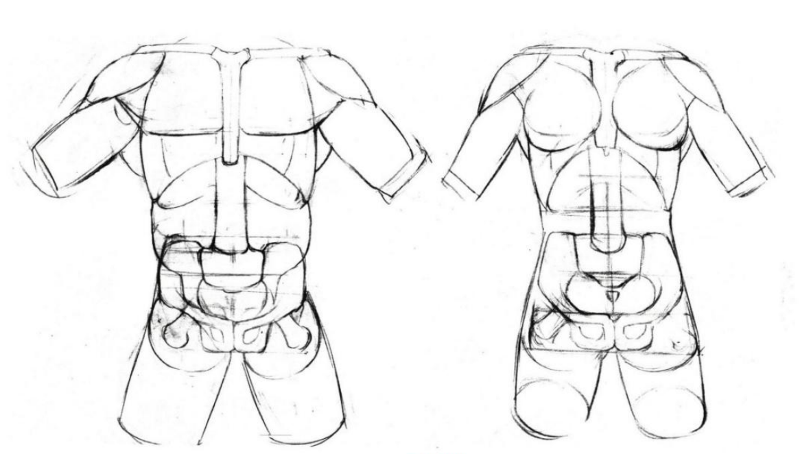 「动漫设计教程」人体绘画基础 part 01 认识骨骼（1）