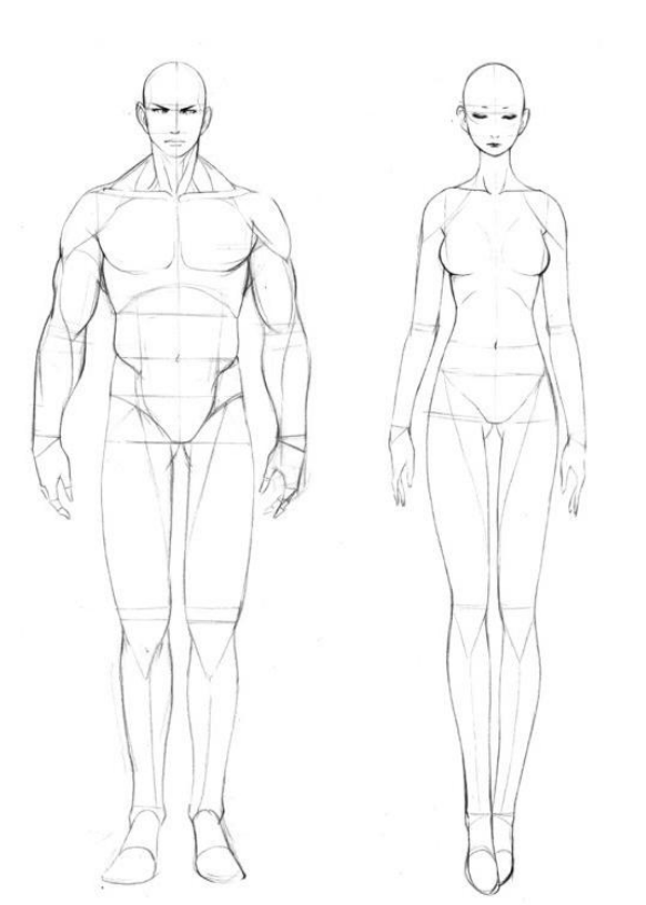 「动漫设计」人体绘画基础 part 01 认识骨骼（2）