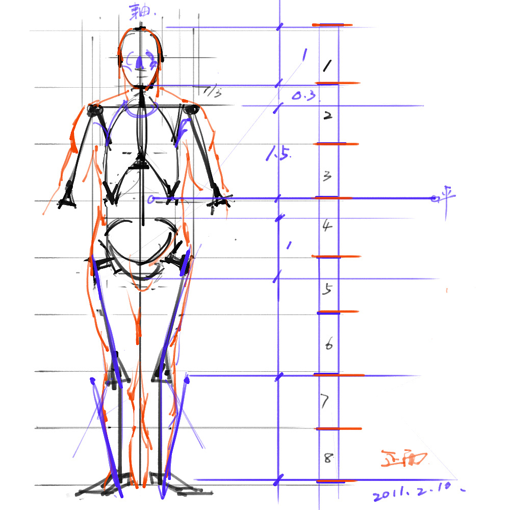 「动漫设计」分享一波绘画专用人体解剖素材 part 01