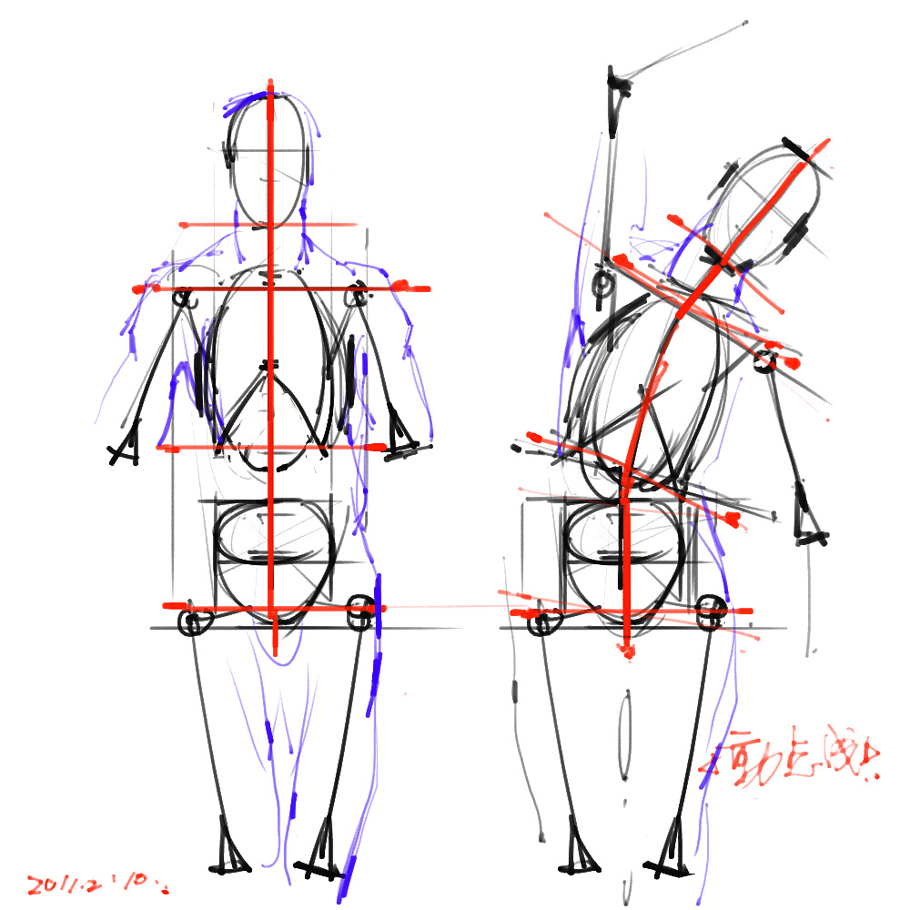 「动漫设计」分享一波绘画专用人体解剖素材 part 01