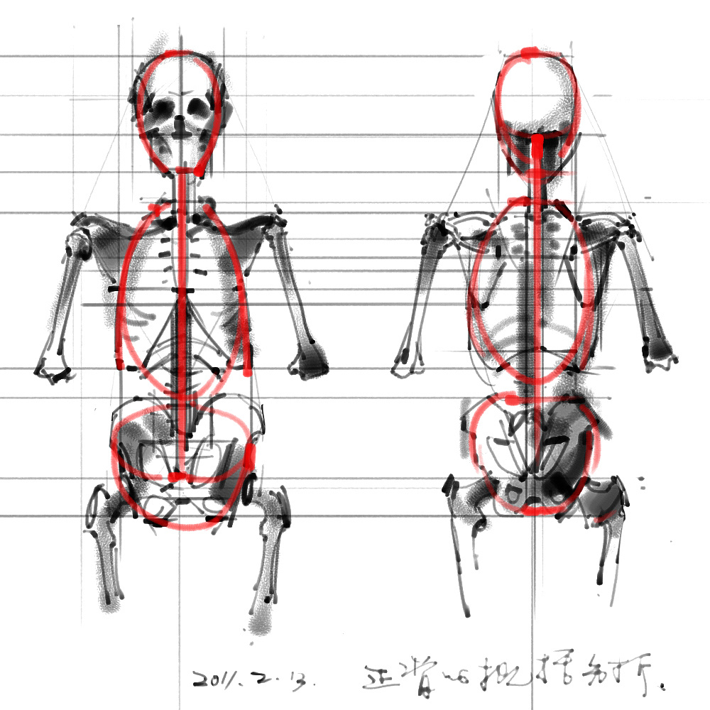 「动漫设计」分享一波绘画专用人体解剖素材 part 01