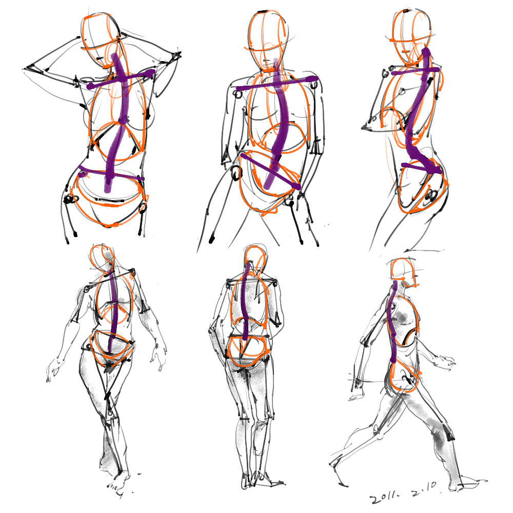 「动漫设计」分享一波绘画专用人体解剖素材 part 01
