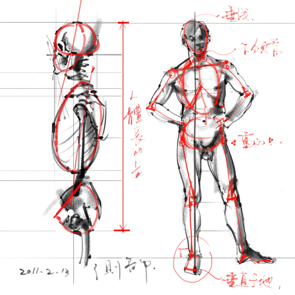 「动漫设计」分享一波绘画专用人体解剖素材 part 01