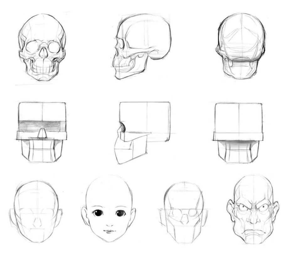 「动漫设计」人体绘画基础 part 02 认识肌肉（1）