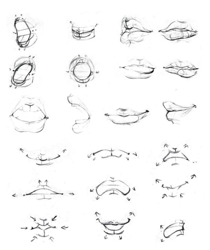 「动漫设计」人体绘画基础 part 02 认识肌肉（1）