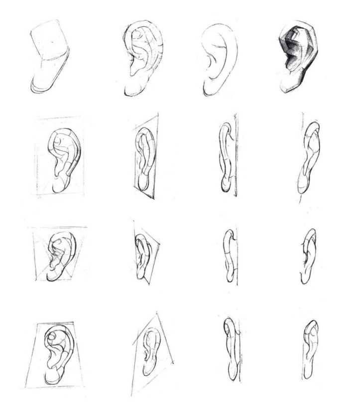 「动漫设计」人体绘画基础 part 02 认识肌肉（1）