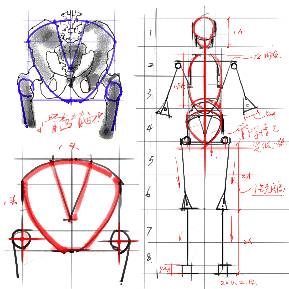 「动漫设计」分享一波绘画专用人体解剖素材 part 02