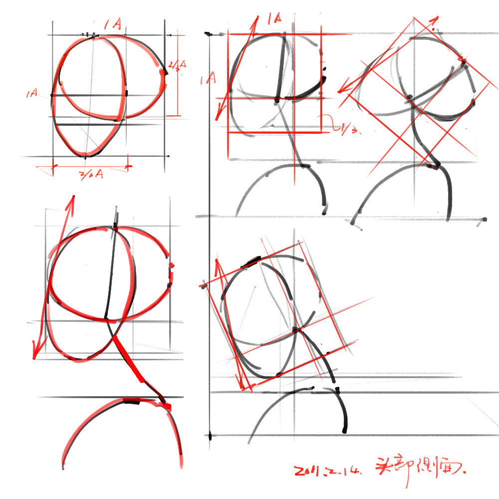 「动漫设计」分享一波绘画专用人体解剖素材 part 02