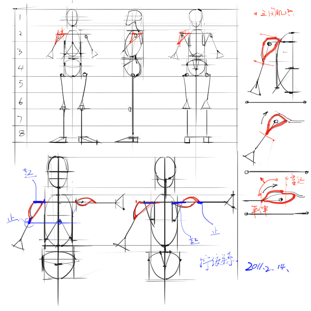 「动漫设计」分享一波绘画专用人体解剖素材 part 02