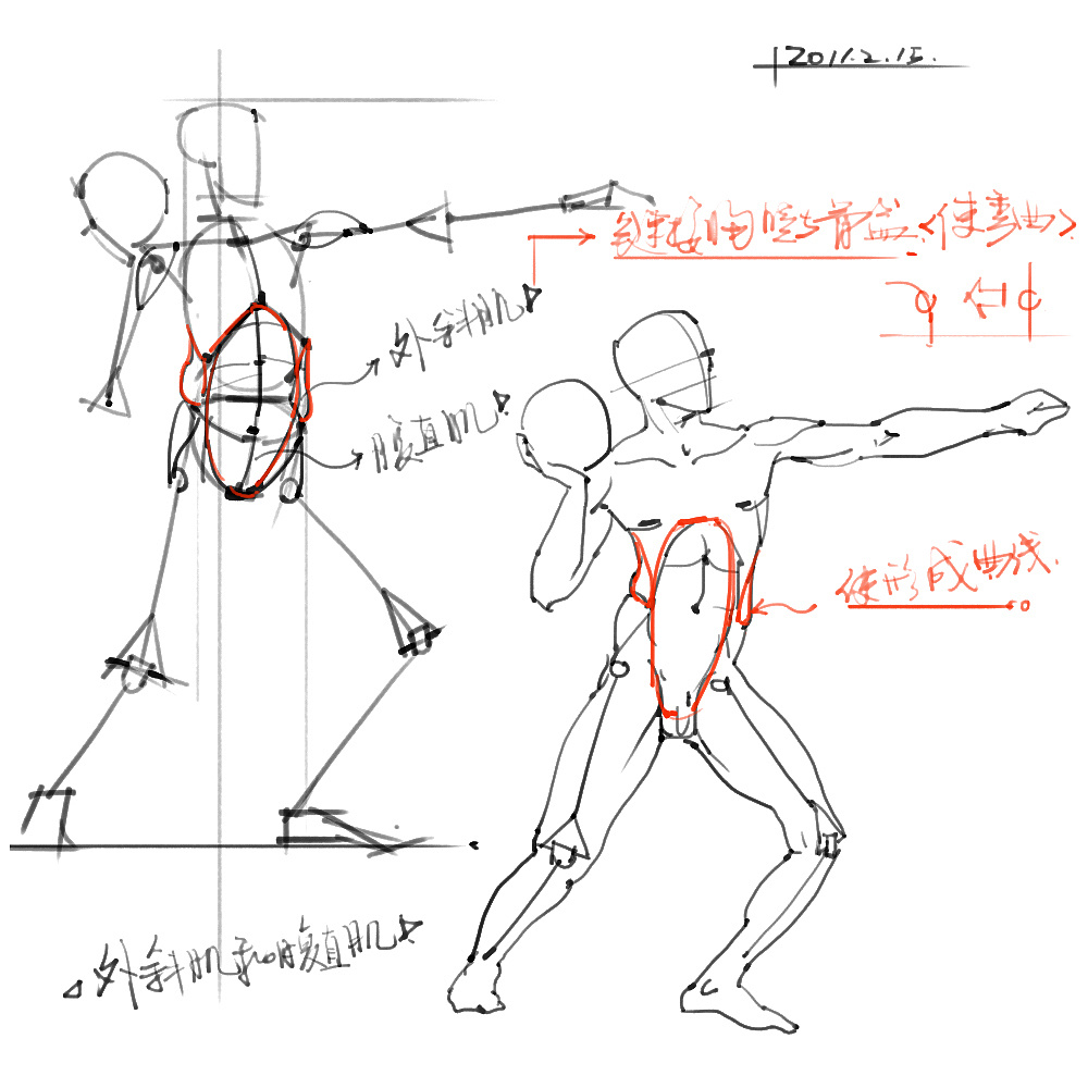 「动漫设计」分享一波绘画专用人体解剖素材 part 02