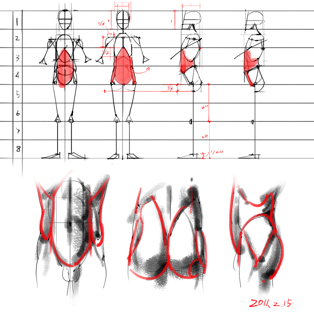 「动漫设计」分享一波绘画专用人体解剖素材 part 03