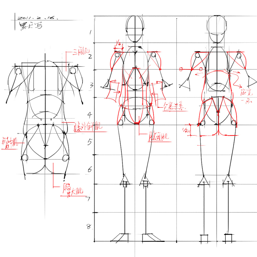 「动漫设计」分享一波绘画专用人体解剖素材 part 03