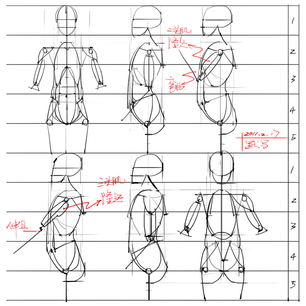 「动漫设计」分享一波绘画专用人体解剖素材 part 03