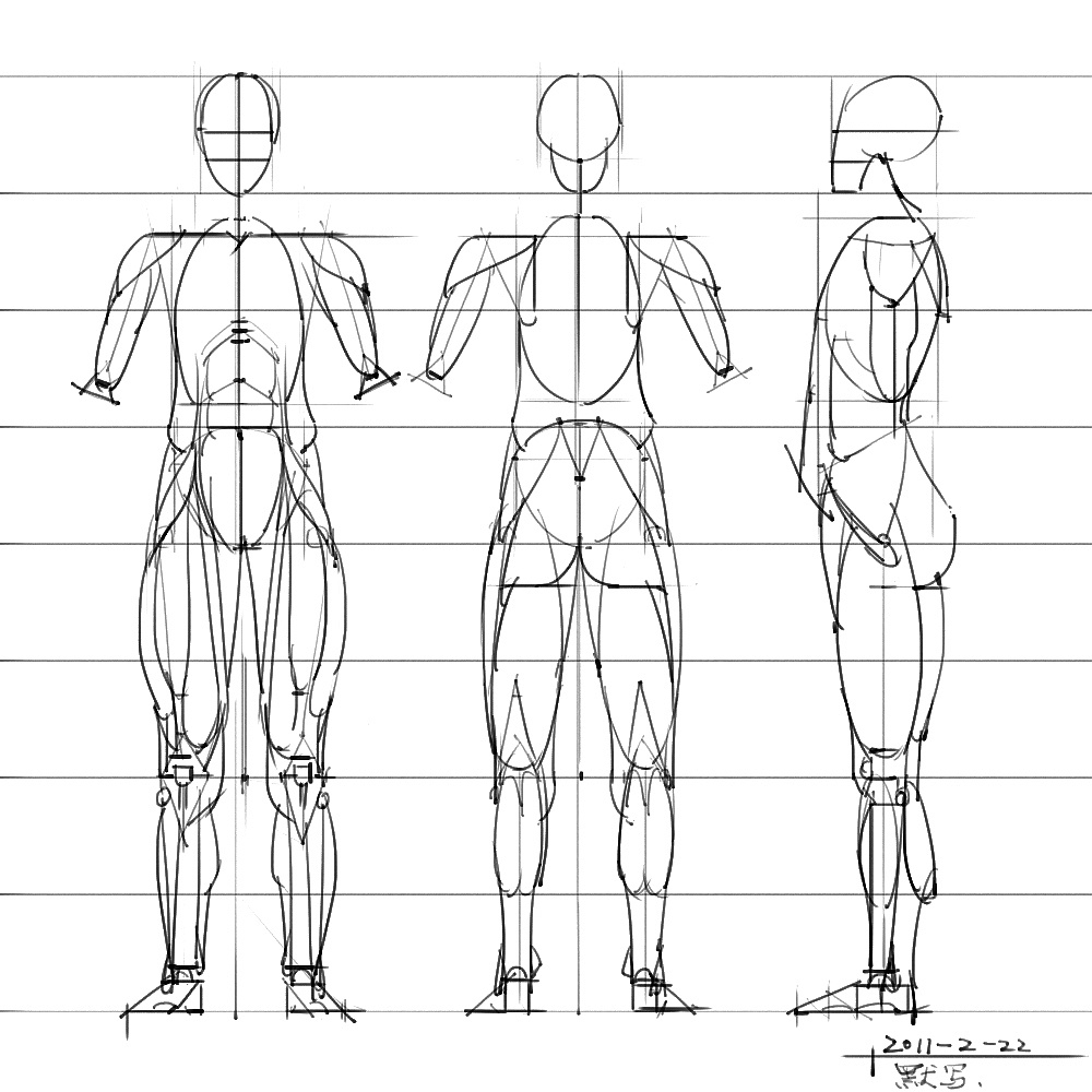 「动漫设计」分享一波绘画专用人体解剖素材 part 05