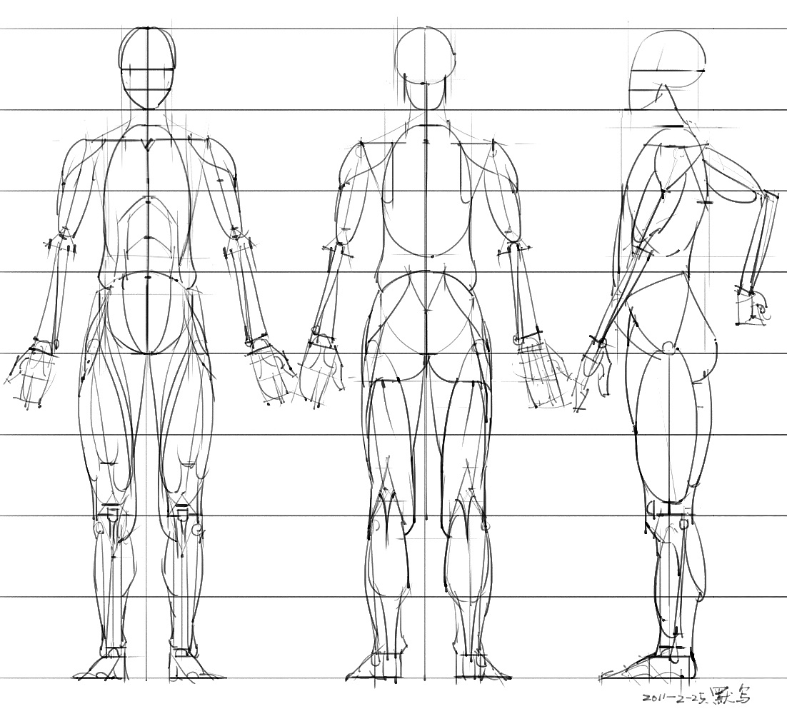 「动漫设计」分享一波绘画专用人体解剖素材 part 05