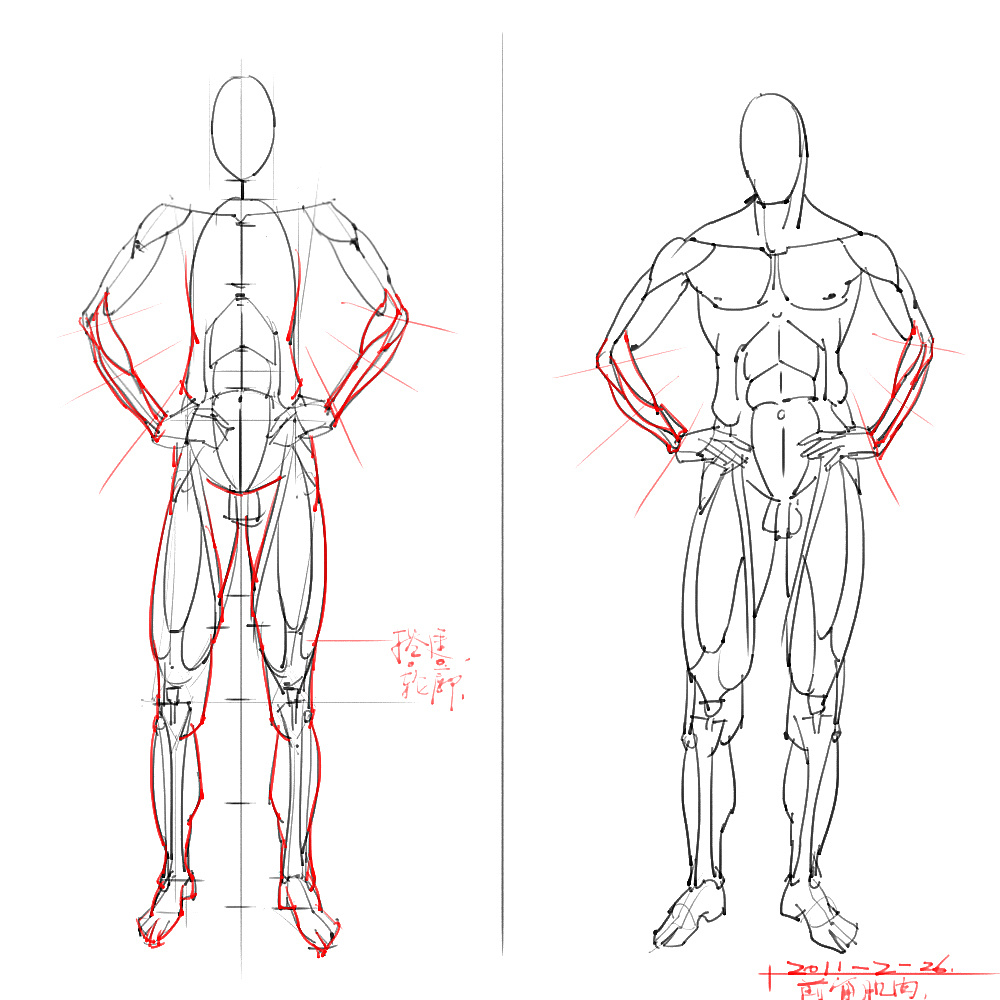 「动漫设计」分享一波绘画专用人体解剖素材 part 06