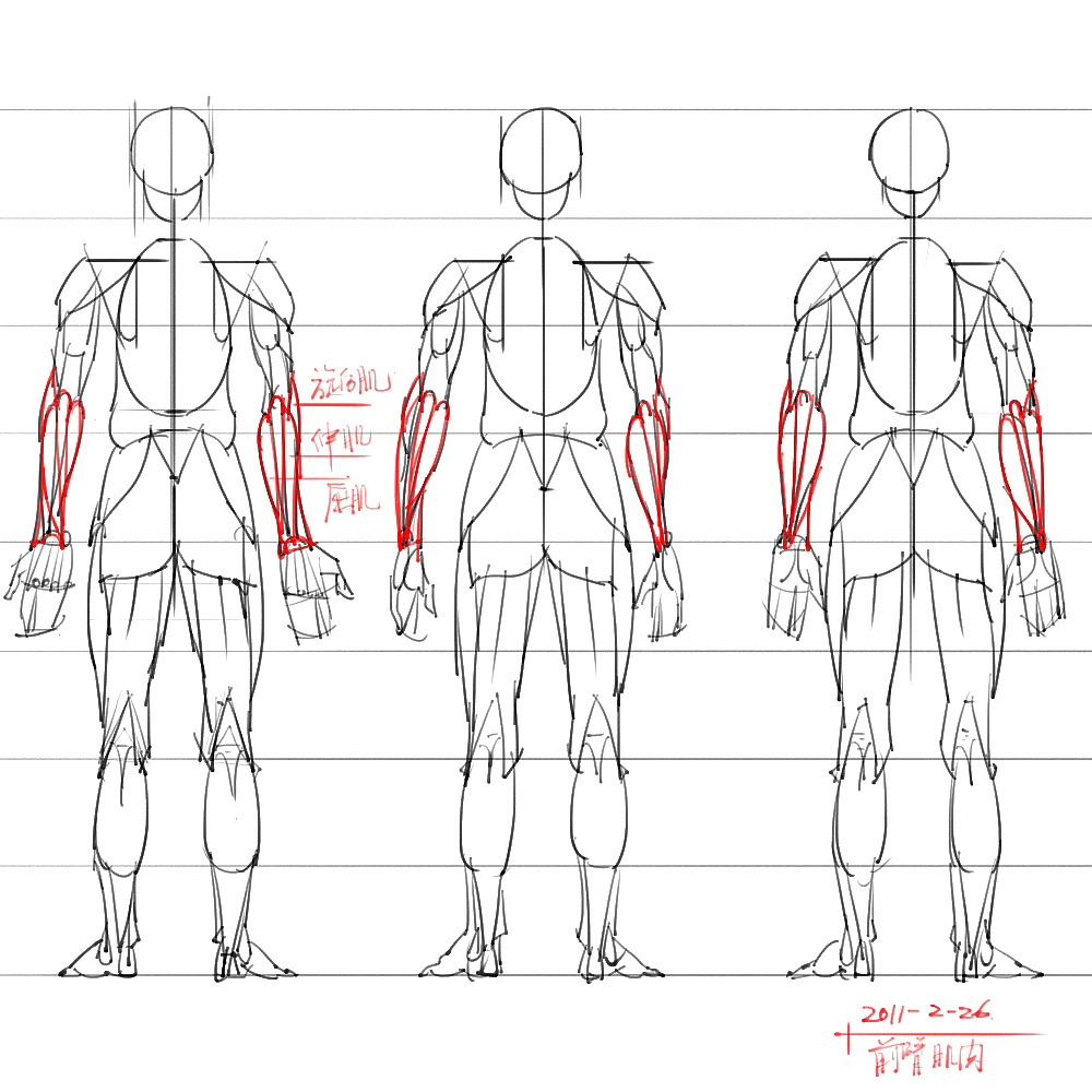 「动漫设计」分享一波绘画专用人体解剖素材 part 06