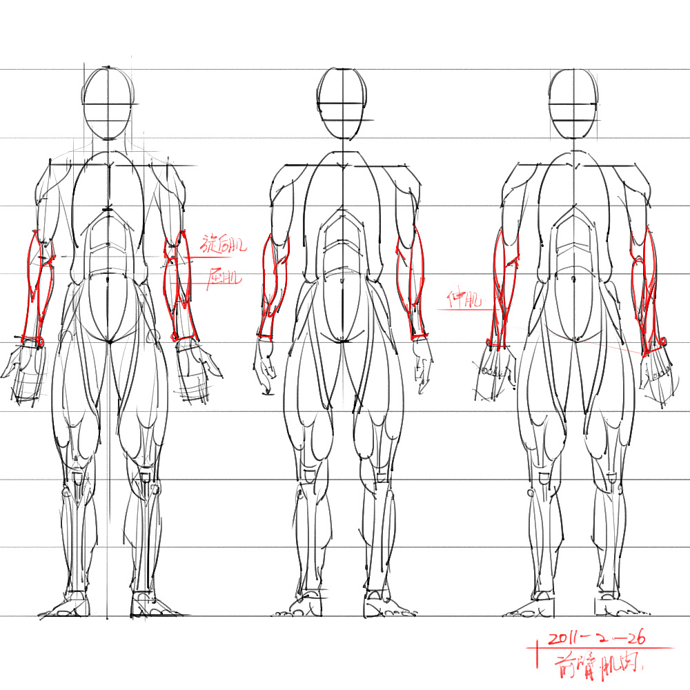 「动漫设计」分享一波绘画专用人体解剖素材 part 06