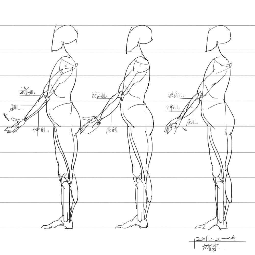 「动漫设计」分享一波绘画专用人体解剖素材 part 06