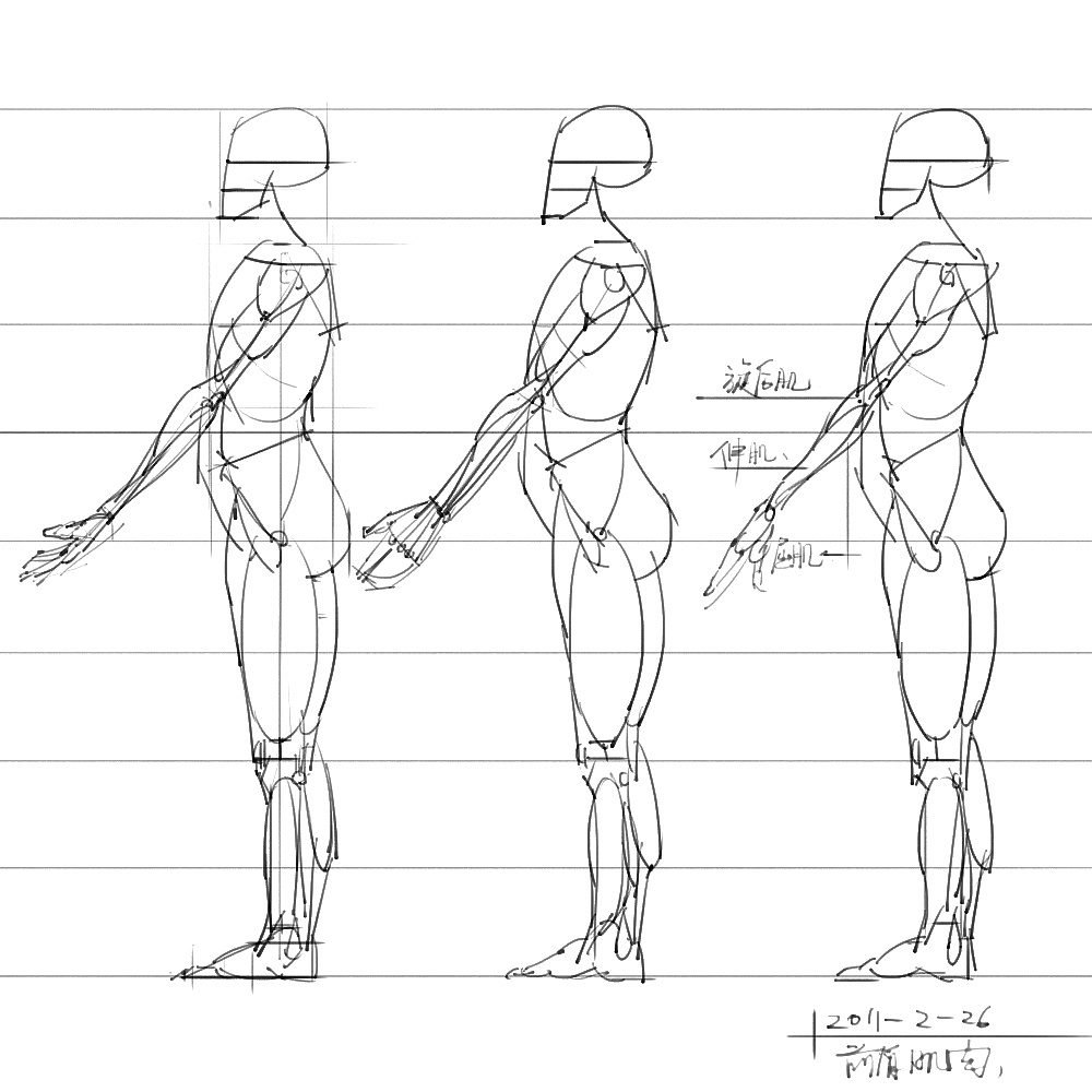 「动漫设计」分享一波绘画专用人体解剖素材 part 06