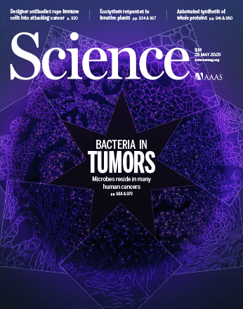 在癌细胞中“猥琐发育”的细菌，原来是抗癌的种子选手