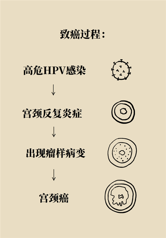 癌症会传染吗？专家：这些高危因素得注意