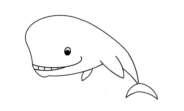 卡通抹香鲸简笔画图片
