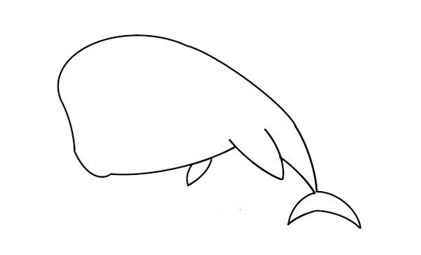 卡通抹香鲸简笔画图片
