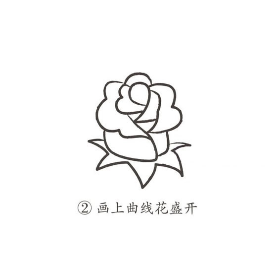 玫瑰花简笔画步骤图片